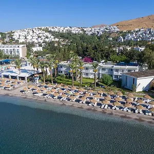 Ladonia Mio Mare Hotell